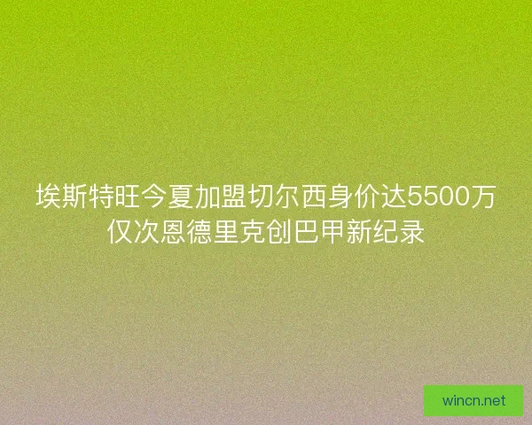 埃斯特旺今夏加盟切尔西身价达5500万仅次恩德里克创巴甲新纪录