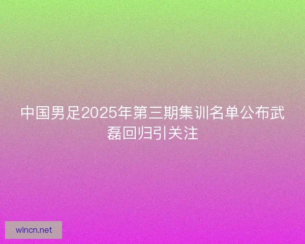 中国男足2025年第三期集训名单公布武磊回归引关注