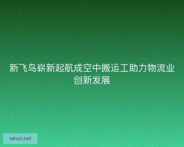新飞鸟崭新起航成空中搬运工助力物流业创新发展
