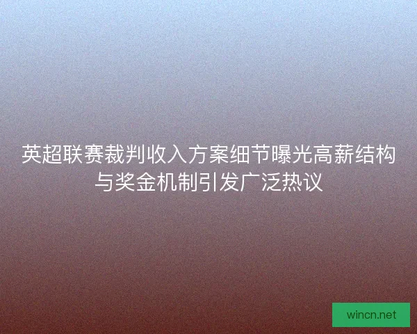 英超联赛裁判收入方案细节曝光高薪结构与奖金机制引发广泛热议